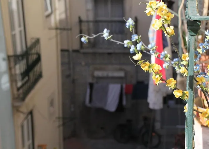 Martim Vaz II - Downtown
